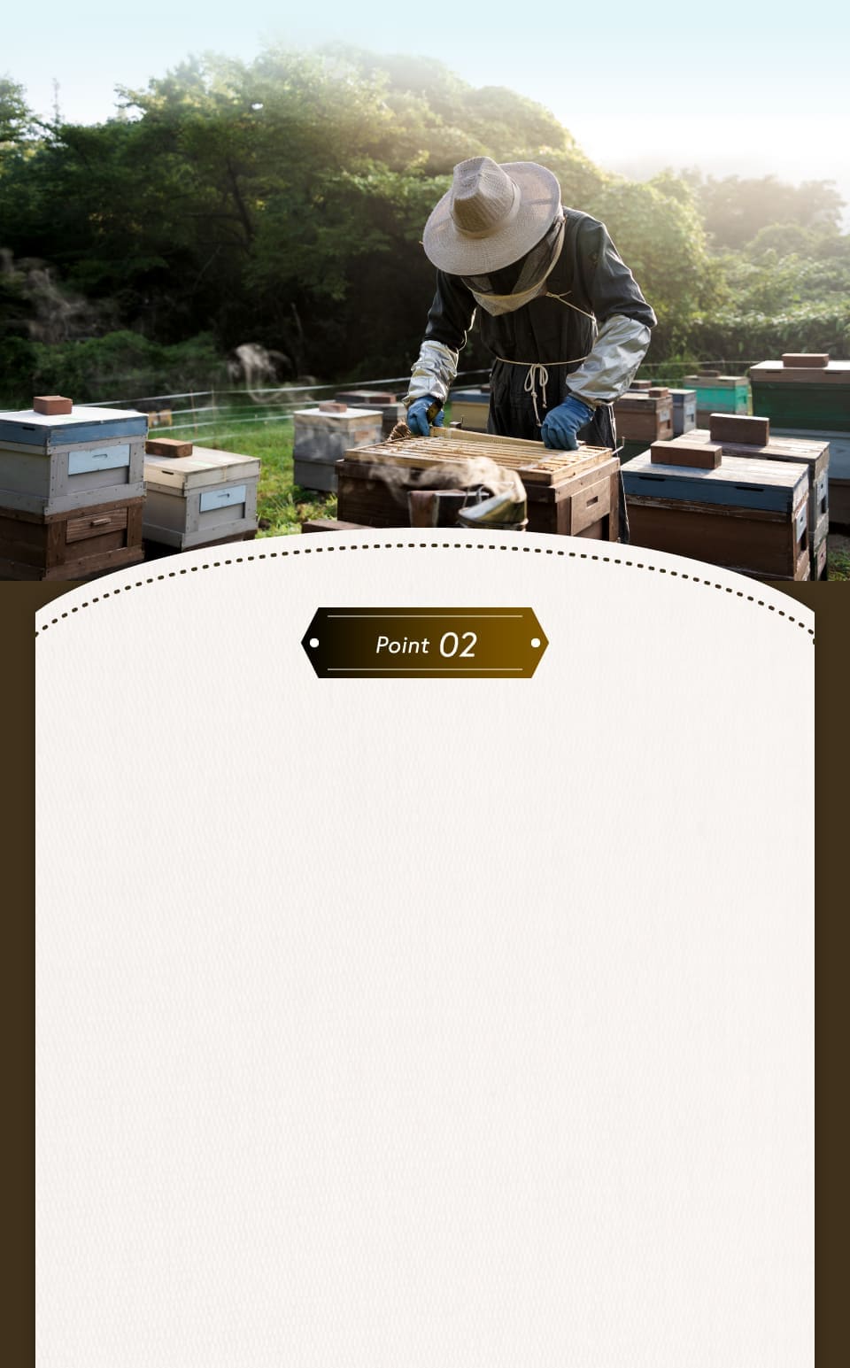 黒にんにくの甘さの秘密