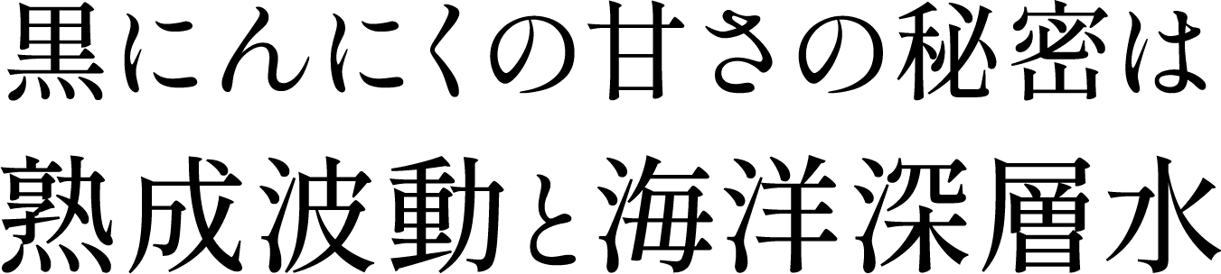 はちみつイメージ画像